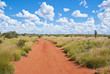 Photo: Unsealed road leading through Outback Unsealed road leading through Outback
