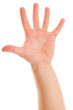 Photo: Man's hand, open hand. Man's hand, open hand.