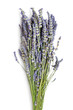 Foto: Dried lavender Dried lavender