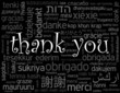 Vector: "THANK YOU" Card (a lot thanks gratitude congratulations) "THANK YOU" Card (a lot thanks gratitude congratulations)