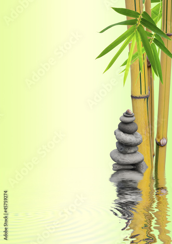 Photo: composition nature anti-stress composition nature anti-stress