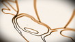 Human Heart structure animation illustration  Shallow Depth of F