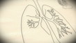 Human Lung structure animation illustration Shallow Depth of Fie