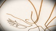 Human Lung structure animation illustration Shallow Depth of Fie