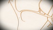 Human Organs structure animation illustration Shallow Depth of F