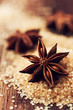 Star anise on brown sugar