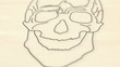 Human Skull structure animation illustration Shallow Depth of Fi
