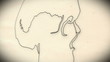Human Skull structure animation illustration Shallow Depth of Fi
