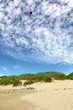 Foto: Drachen im Wind Drachen im Wind