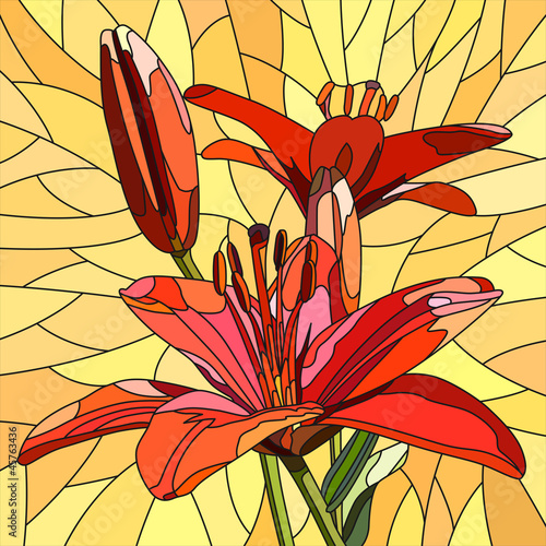 Vector: Vector illustration of flower red lilies. Vector illustration of flower red lilies.