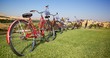 A Vintage Wedding Theme