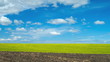 Skyscape timelapse over rapeseed field in full bloom, tilting up