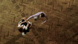 Video: Above view of couple training to dance Above view of couple training to dance