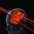 Illustration: Brain Gear Brain Gear