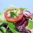 garden salad