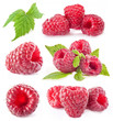 Raspberry isolated on white background