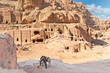 Two tour donkies  in Ancient Petra city Jordan