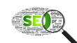 Search Engine Optimization