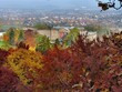 Herbst am Schloss Wilhelmshöhe