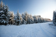 Winter road