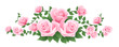 Vector illustration of pink roses