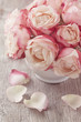 Pink roses