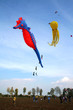 Seahorse and octopus kites in the sky in  a windy day