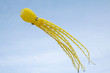 Octopus kite in a sunny day of summer