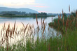 Photo: Beautiful river in evening Beautiful river in evening