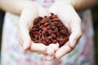 Woman Holding Handful Of Goji Berries
