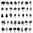 Baum ~ Bäume ~ Nadelbaum ~ Laubbaum - Megaset