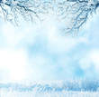 winter landscape