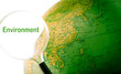 Environment Globe