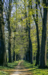 Monza Park