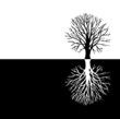 Tree.