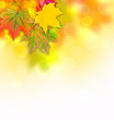 Herbstlicher Hintergrund 2