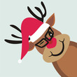 rudolph