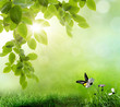 background of grass. bokeh. The beautiful