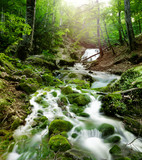 forest waterfall