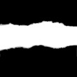 Black Torn Paper Borders