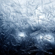 Frosty fine pattern of nature
