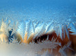 Frosty fine pattern of nature
