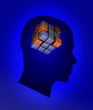 Head with cube