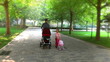 Mother and daughter pushing baby strollers in a park