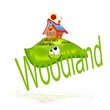 Illustration: woodland woodland