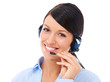 Photo: Eager to help you no matter what Eager to help you no matter what