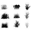 grass