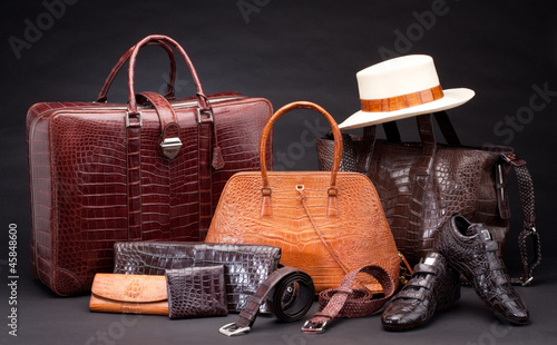 Photo: Set of crocodile leather products Set of crocodile leather products