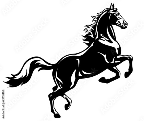 Vector: rearing horse black white rearing horse black white