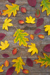 Herbstlaub
